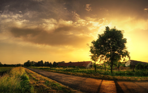 464205 (a): :1680x1050